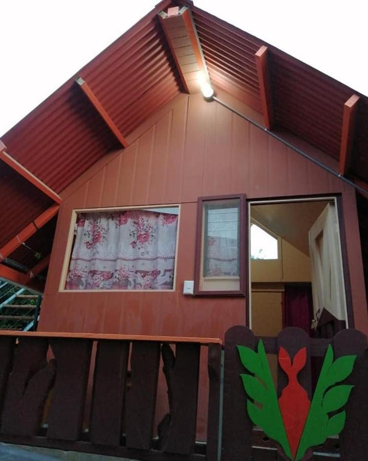 Pensión y Cabinas Colibrí B&B Monteverde-Costa Rica Exterior foto